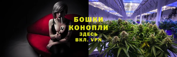 спайс Майский