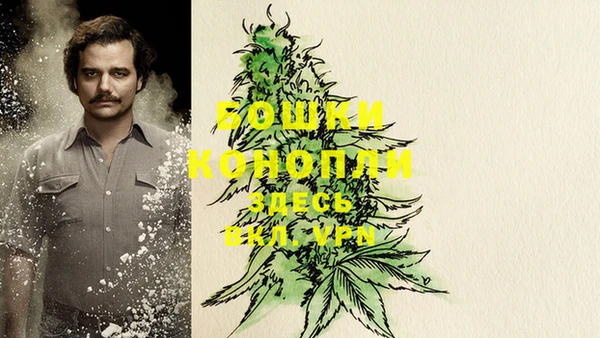 спайс Майский