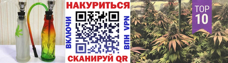 наркота Хадыженск Бошки марихуана конопля